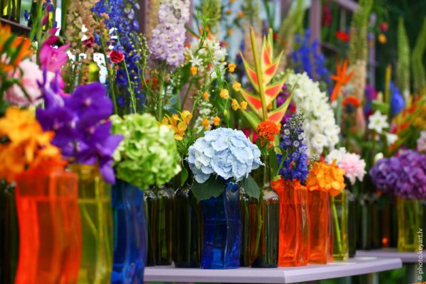 Фестиваль и бал цветов?