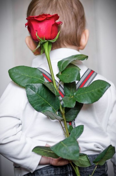 Малыш с розой