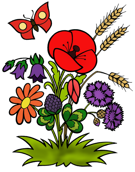 Сказочные цветы для детей