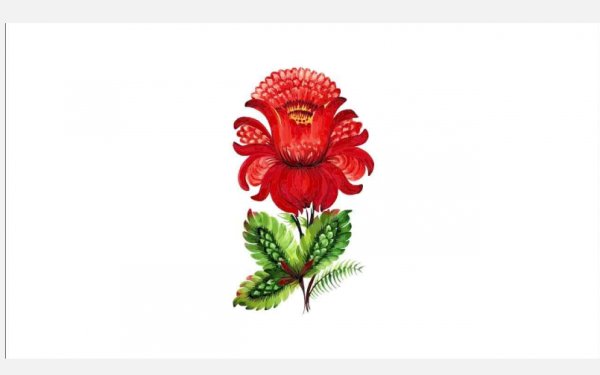 Аленький цветочек цветок