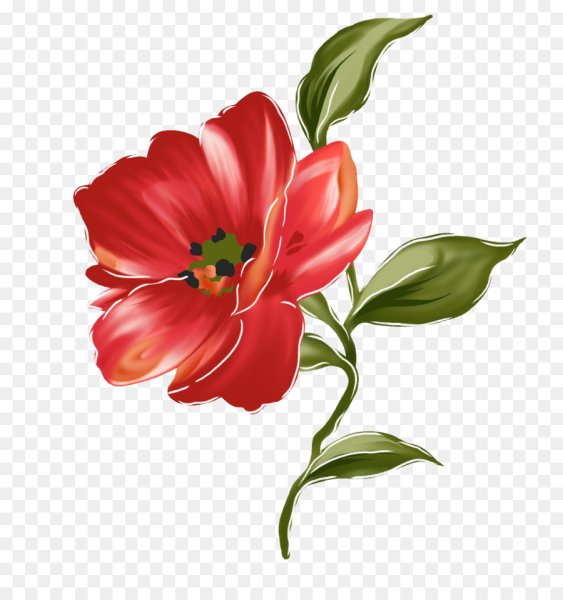 Сказочный цветок на белом фоне