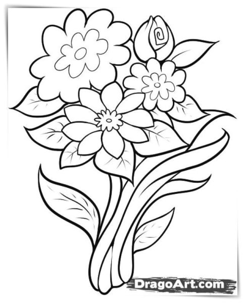 Букет цветов рисунок карандашом