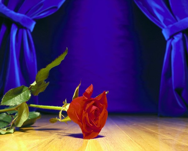 С днем работкник акультуры