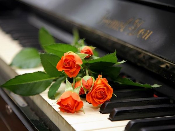 Открытка музыканту