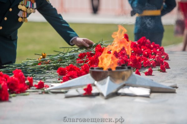 Возложение цветов к могиле неизвестного солдата в Москве