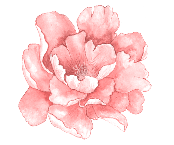Акварельные цветы