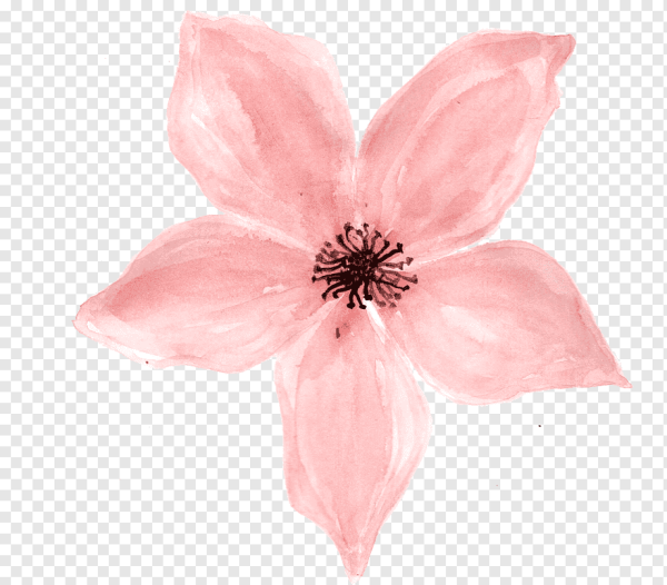 Цветы акварелью маленькие