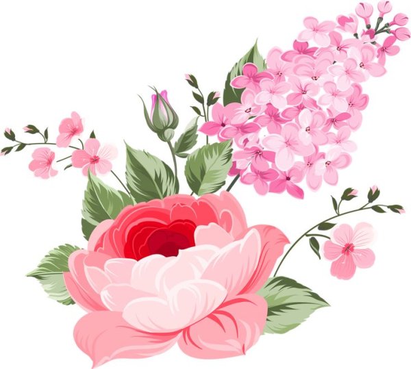 Розовые цветы нарисованные