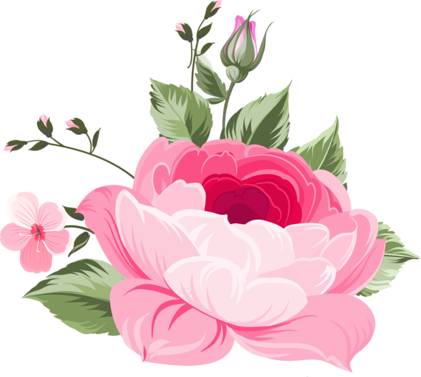 Векторные цветы розовые