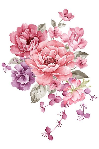 Пион пиксарт