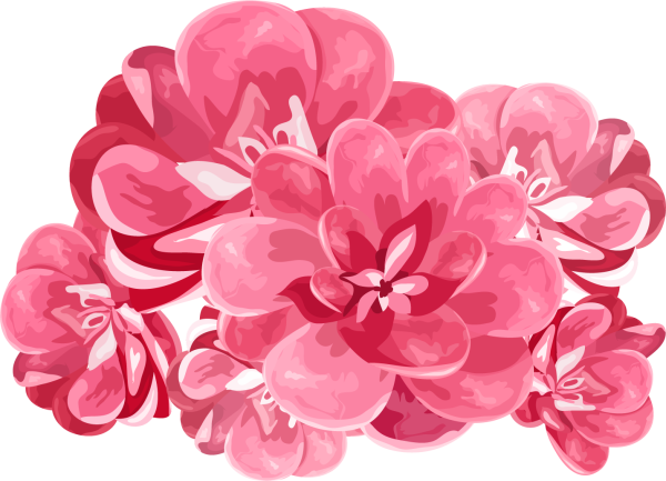 Розовые цветы вектор