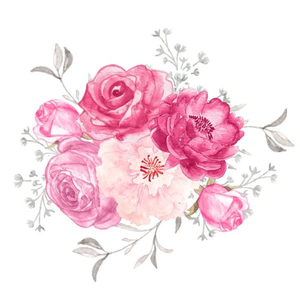 Акварельные цветы розовые