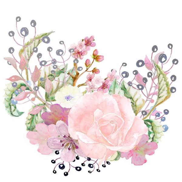 Цветы акварель на прозрачном фоне