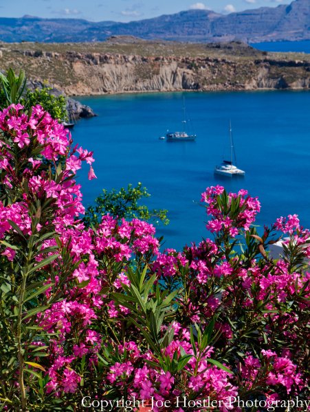 Цветок Линдос