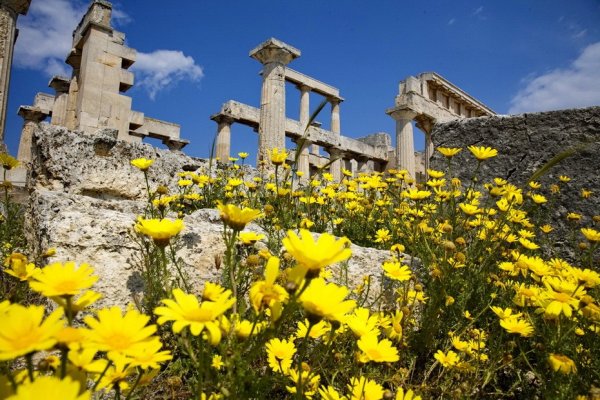 Растения Греции