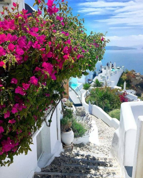 Крит остров Греция растительность