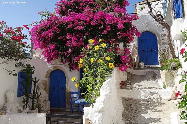 Бугенвиллия на Санторини