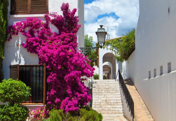 Греция Дворики