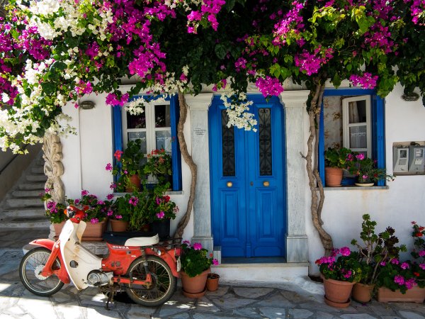 Флора острова Крит