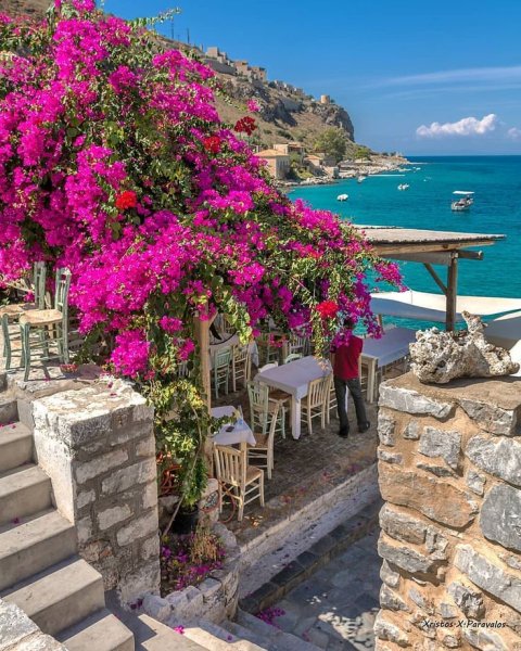 Бугенвиллия на Санторини