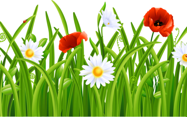 Трава с цветочками