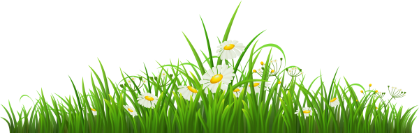 Полянка на белом фоне