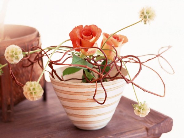 Креатив с цветами