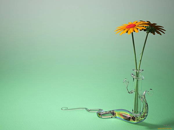 Цветы Минимализм