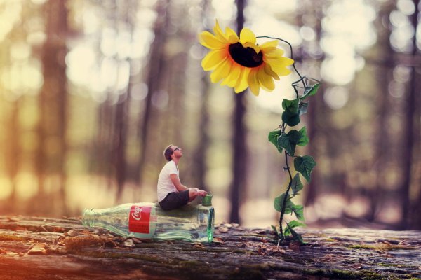 Креативные цветы