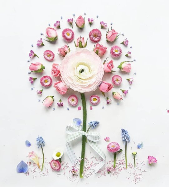 Луиза Азеведо