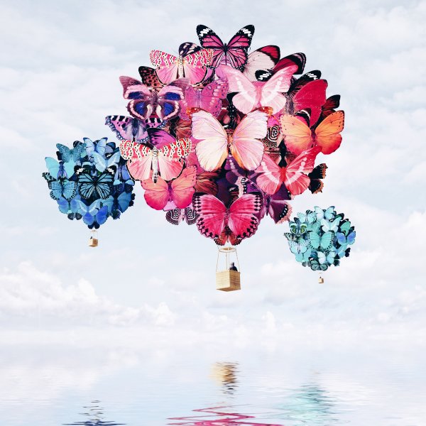 Креативные картинки с цветами