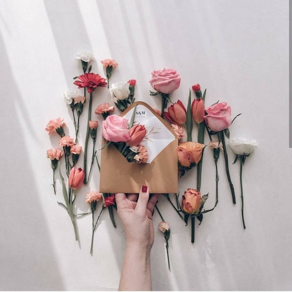 Цветы украшение земли