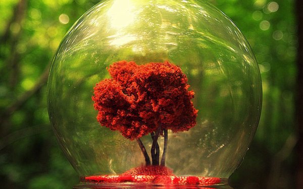 Творческий фон