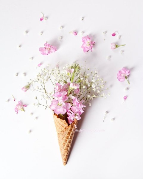 Кирсти Митчелл