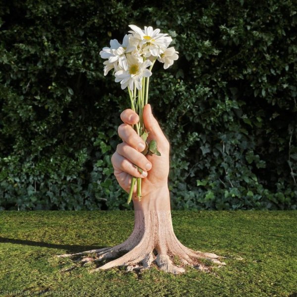 Креативные картинки с цветами