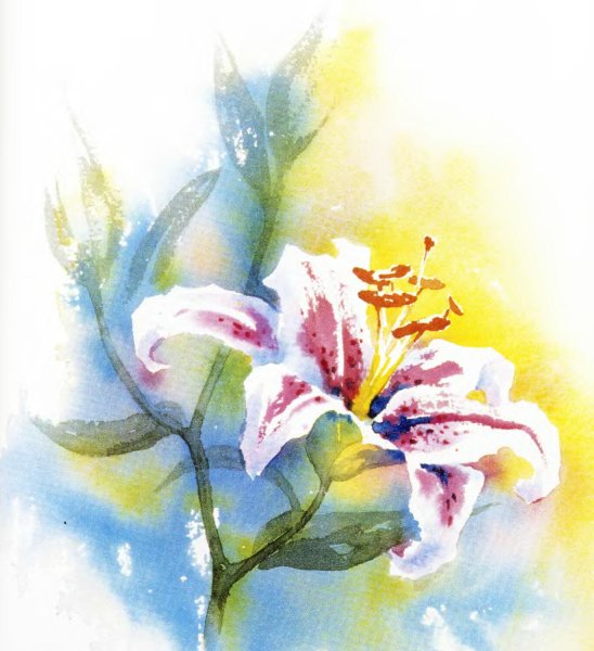 Цветы акварельными красками