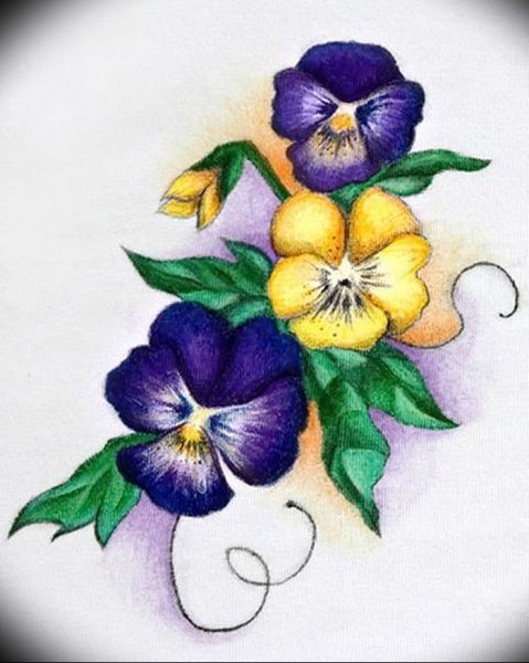 Скетчинг Анютины глазки