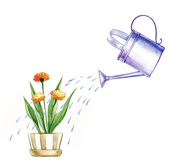 Полив растений на прозрачном фоне