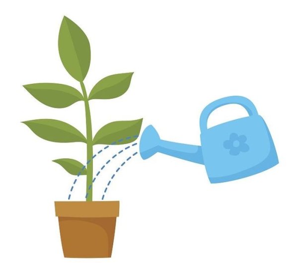 Полив растений для детей