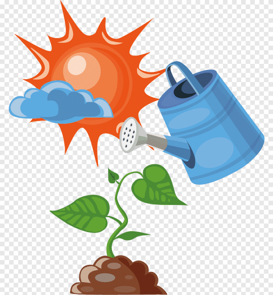 Полив рисунок