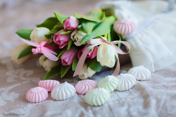 Натюрморт с зефиром