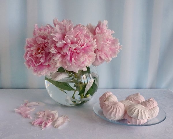 Нежные сладости