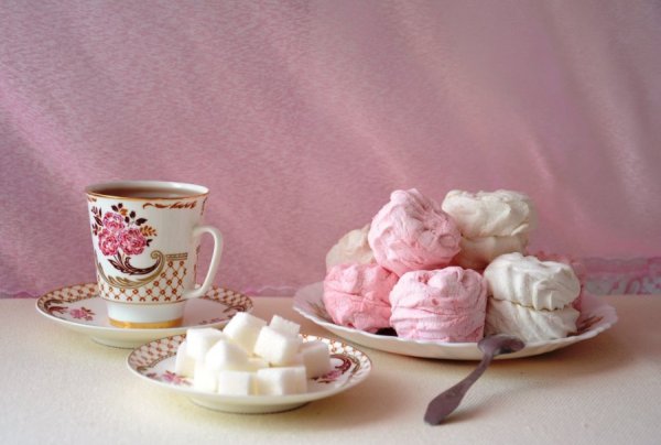 Печагина Людмила натюрморты