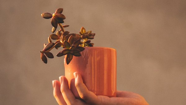 Шляпа фокусника