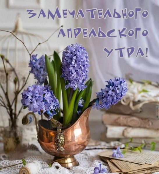 Доброго апрельского дня