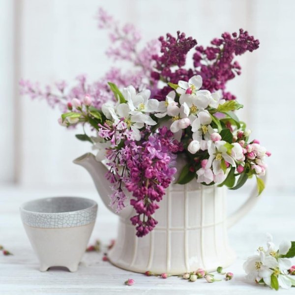 Доброго весеннего утра с черемухой