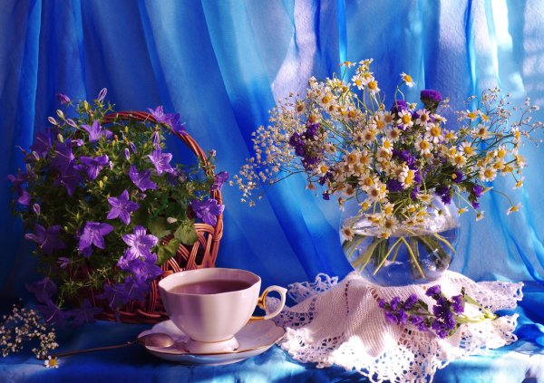 Доброе утро Весна