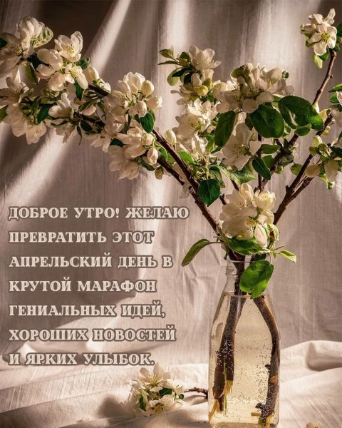 Доброе утро васильки