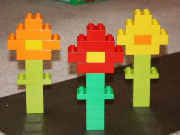 Конструирование из конструктора