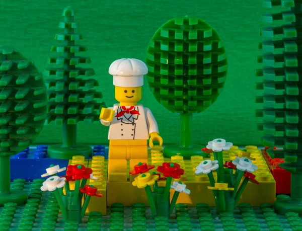 Цветы из лего